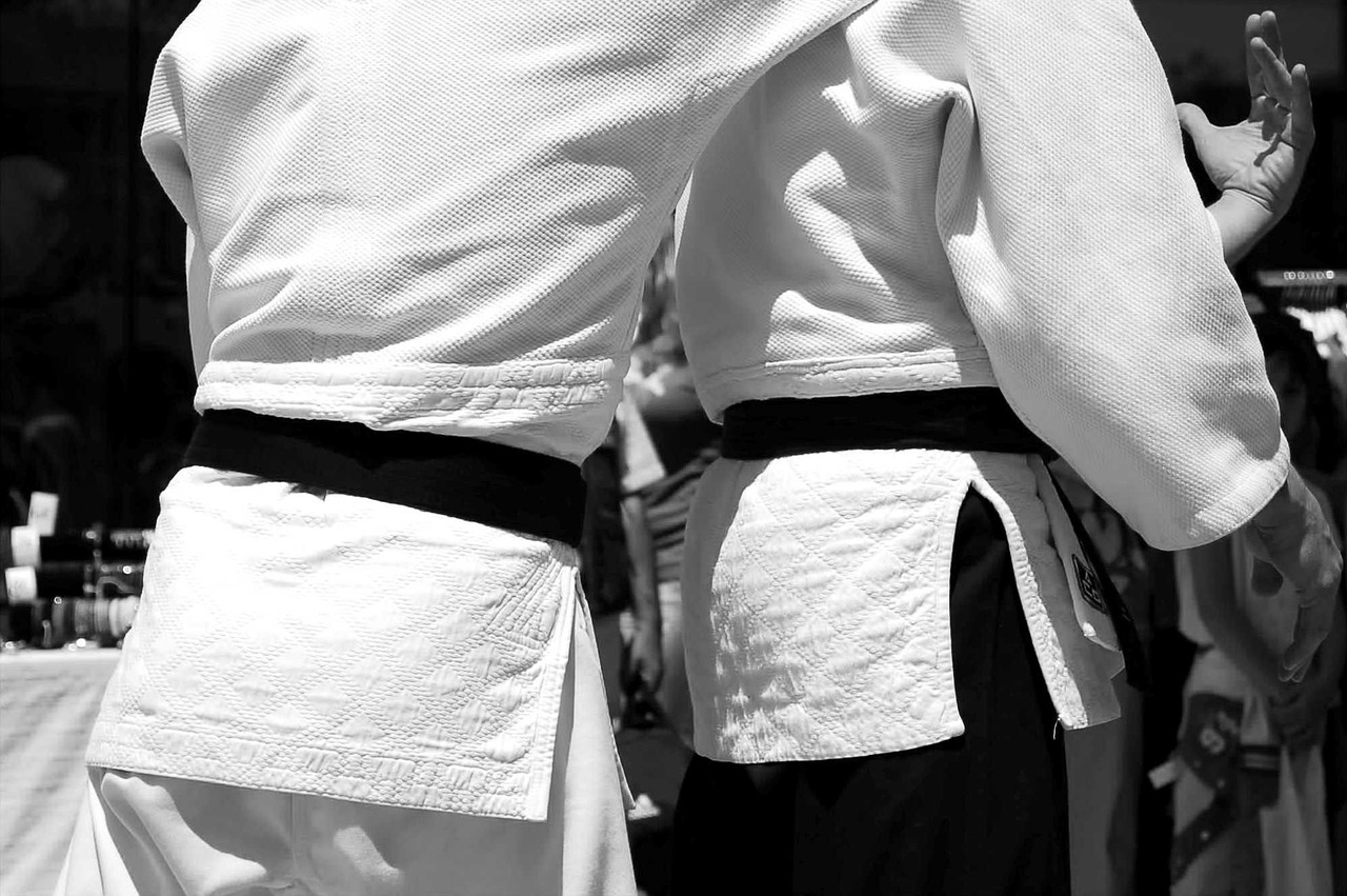 martial arts, aikido, japan-116542.jpg